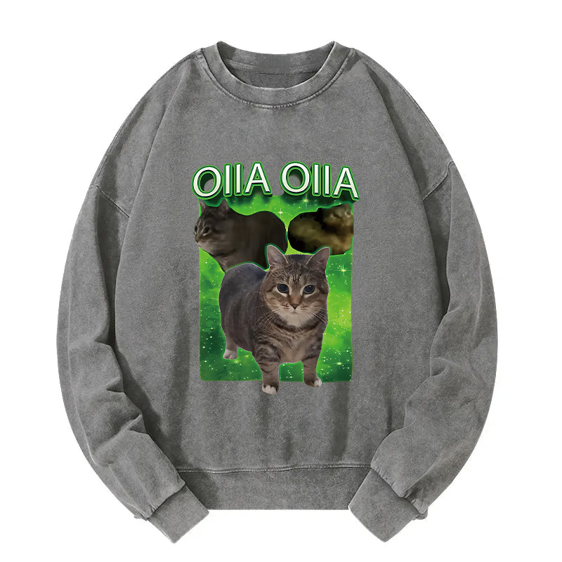 Oiia Cat Funny Meme Washed Sweatshirt