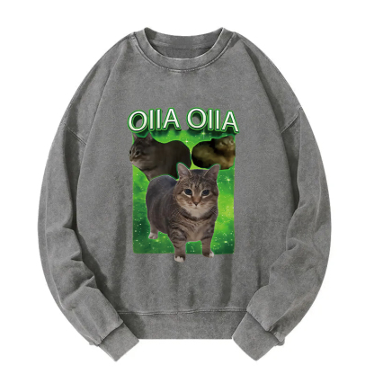Oiia Cat Funny Meme Washed Sweatshirt