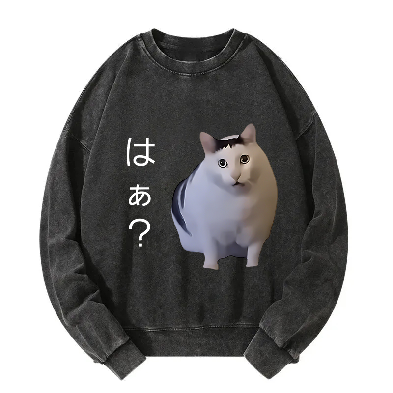 Suspicious Funny Cat Washed Sweatshirt