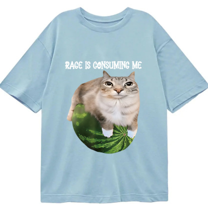 Rage Is Consuming Me Cat Meme Classic T-Shirt