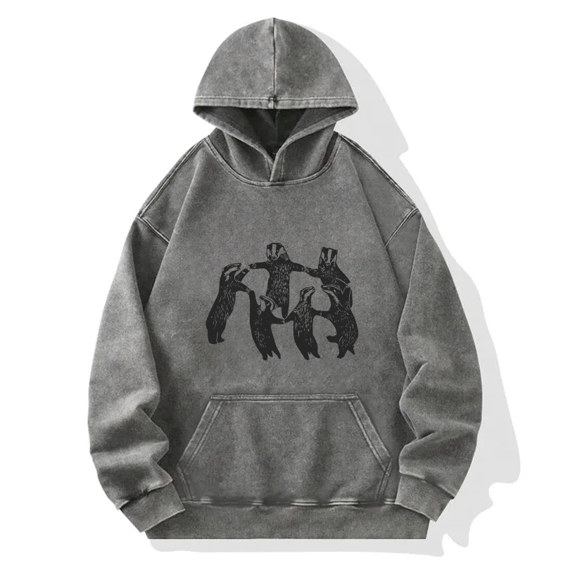 Raccoon Revelry Washed Hoodie