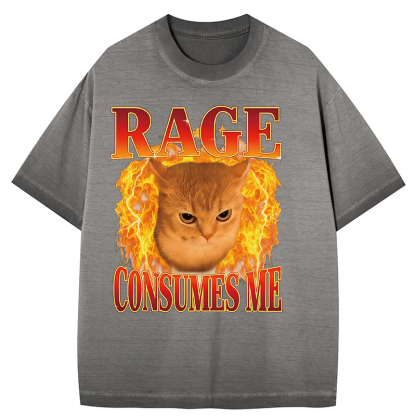 Rage Consumes Me Edgy Funny Cat Meme Gradient Washed T-Shirt