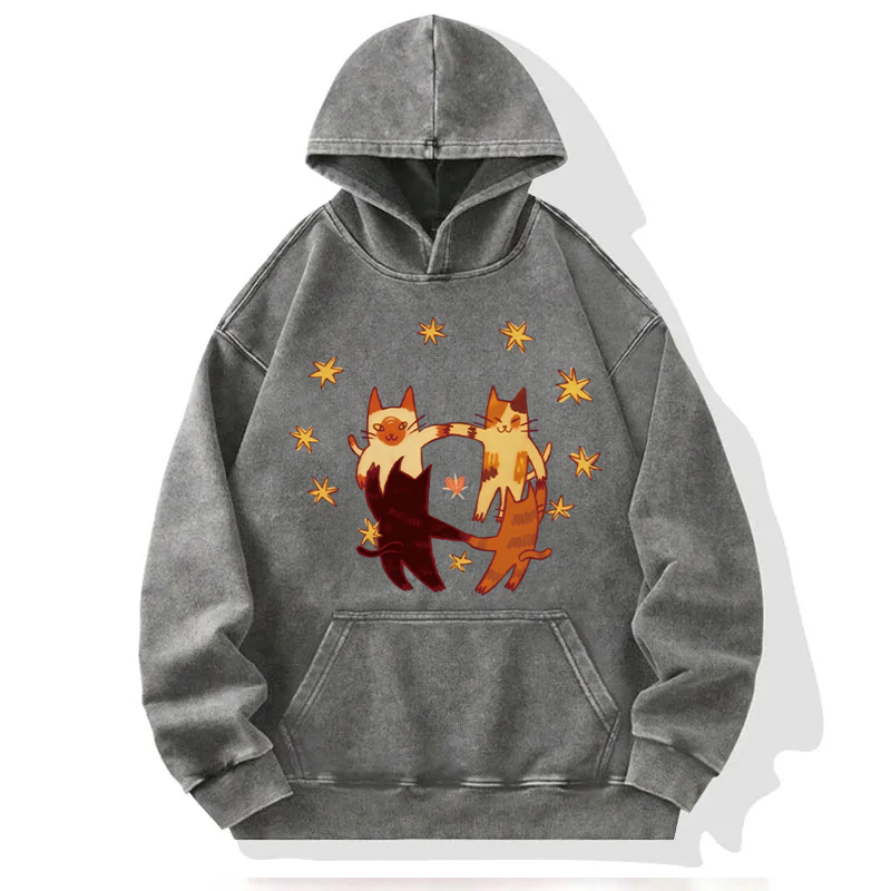 Cats Playing Friend Games Washed Hoodie