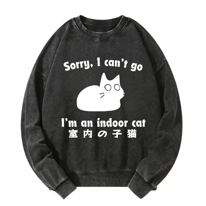 Indoor Kitten Washed Sweatshirt