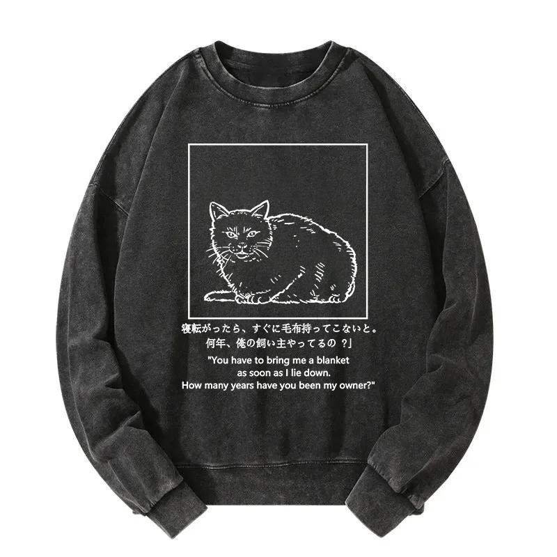 Cat Instructs Owner Washed Sweatshirt