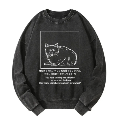 Cat Instructs Owner Washed Sweatshirt