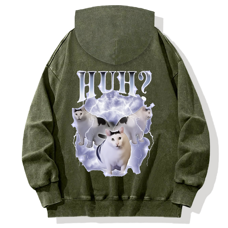 Huh Cat Chonky Ben Meme Back Washed Hoodie