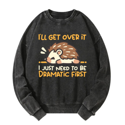 Dramatic Hedgehog Washed Sweatshirt