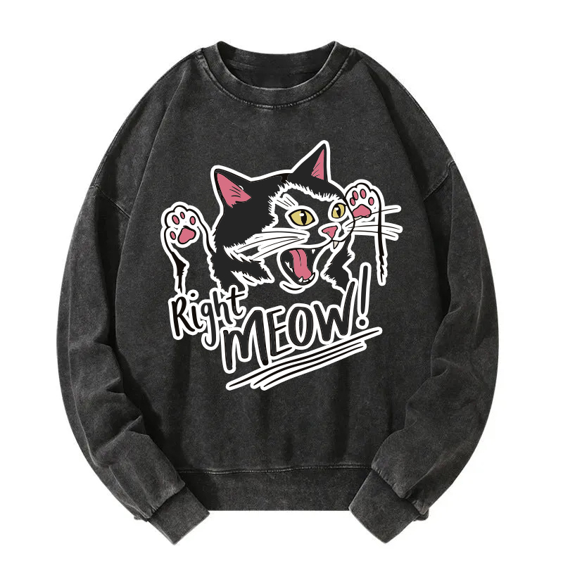 Right Meow Funny Cat Meme Washed Sweatshirt