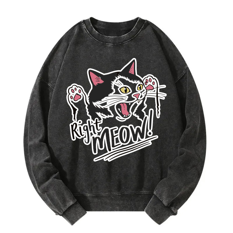 Right Meow Funny Cat Meme Washed Sweatshirt