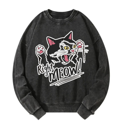 Right Meow Funny Cat Meme Washed Sweatshirt