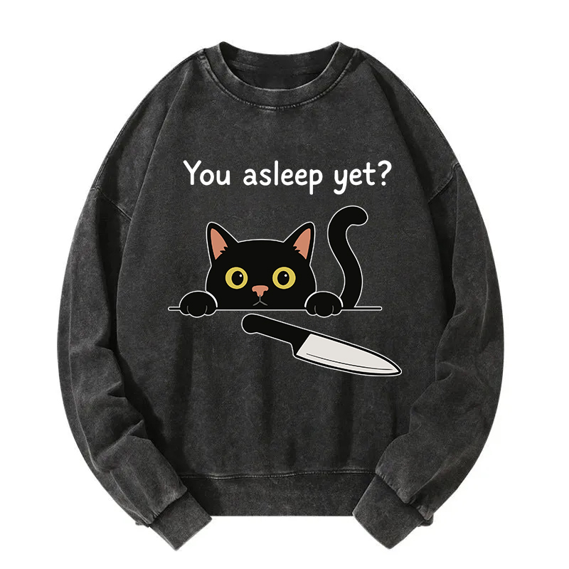 Cat With Murderous Intent Washed Sweatshirt