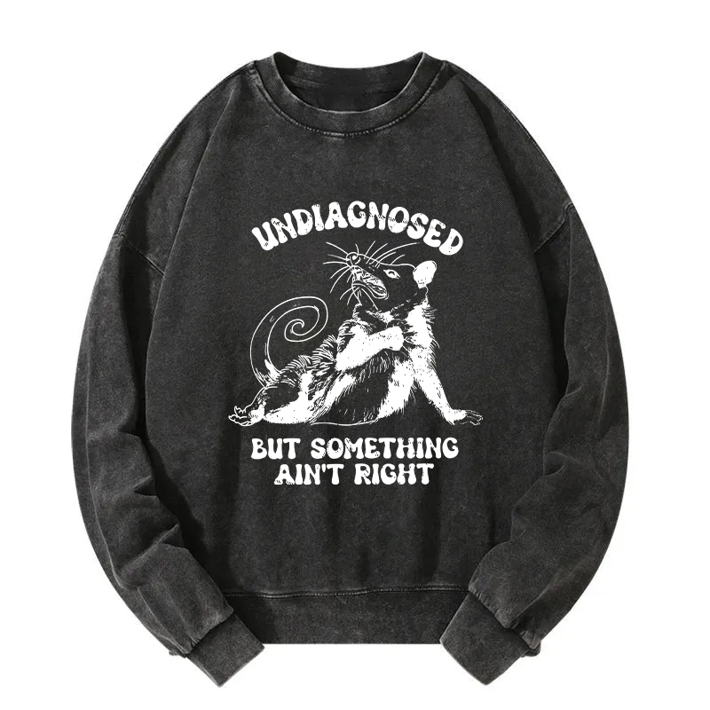 Undiagnosed Mental Health Opossum Washed Sweatshirt