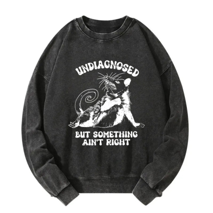 Undiagnosed Mental Health Opossum Washed Sweatshirt