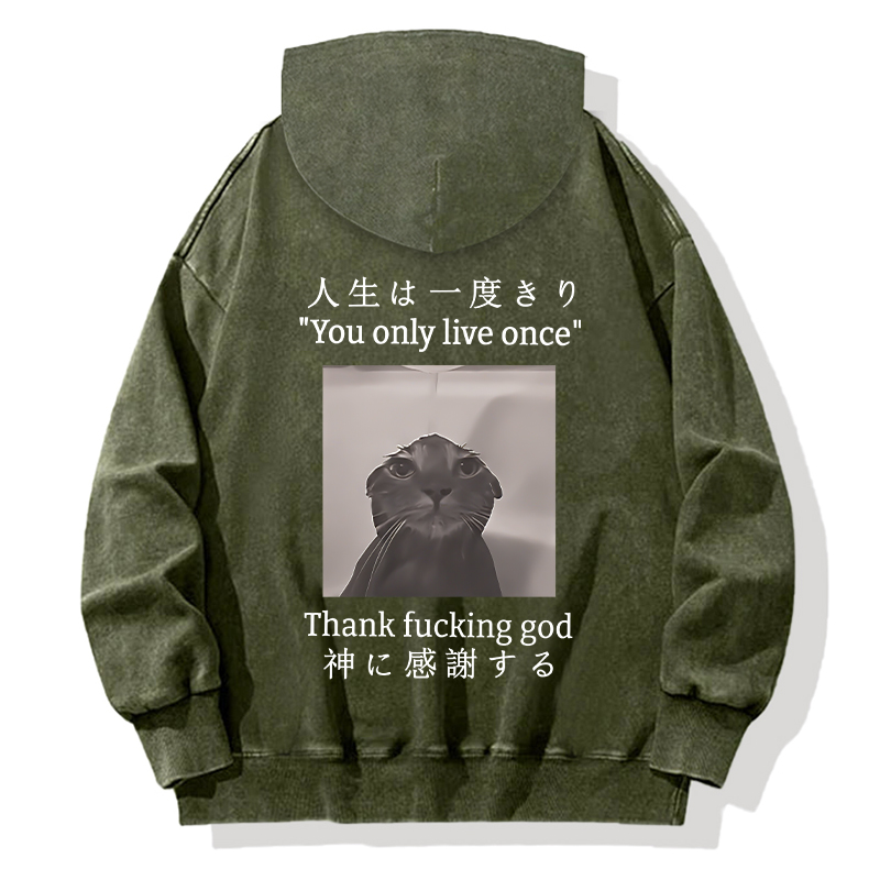 Funny Melancholy Cat Back Washed Hoodie