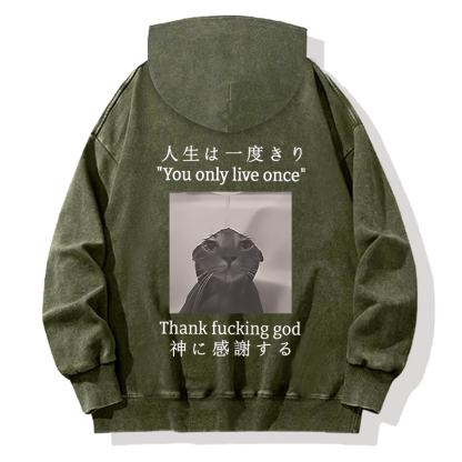 Funny Melancholy Cat Back Washed Hoodie