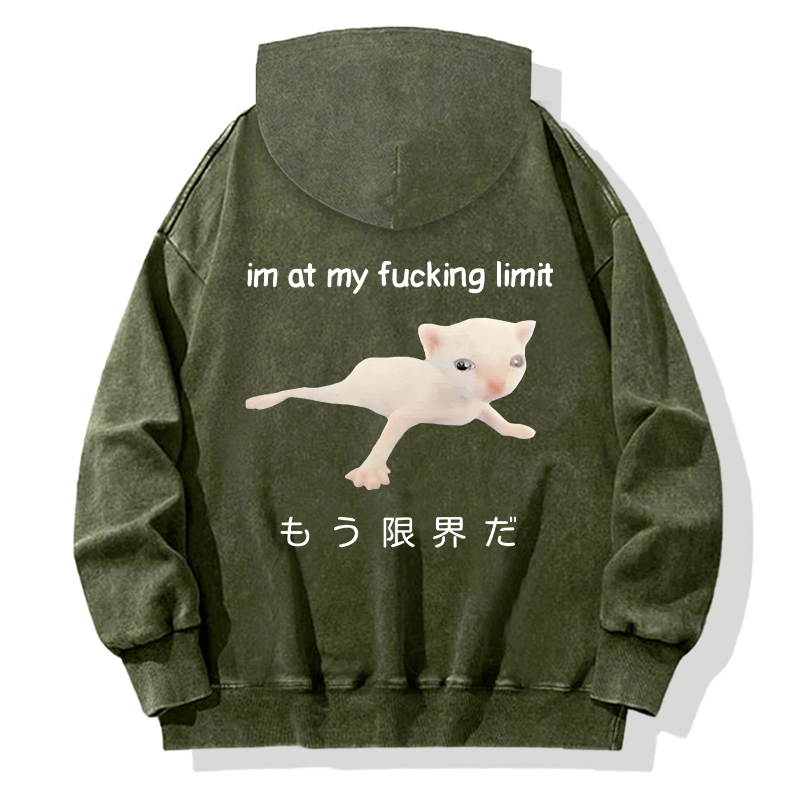 Cat Reaching Its Limit Back Washed Hoodie