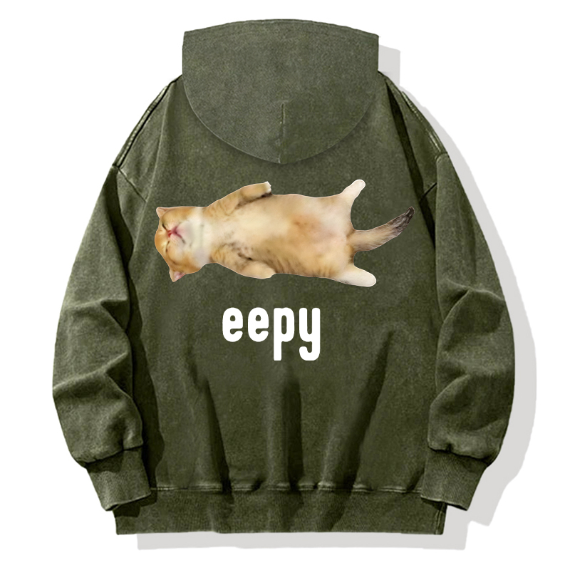 Silly Sleepy Cat Meme Back Washed Hoodie