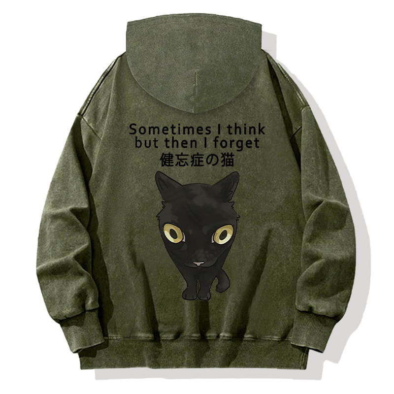Amnesiac Cat Back Washed Hoodie