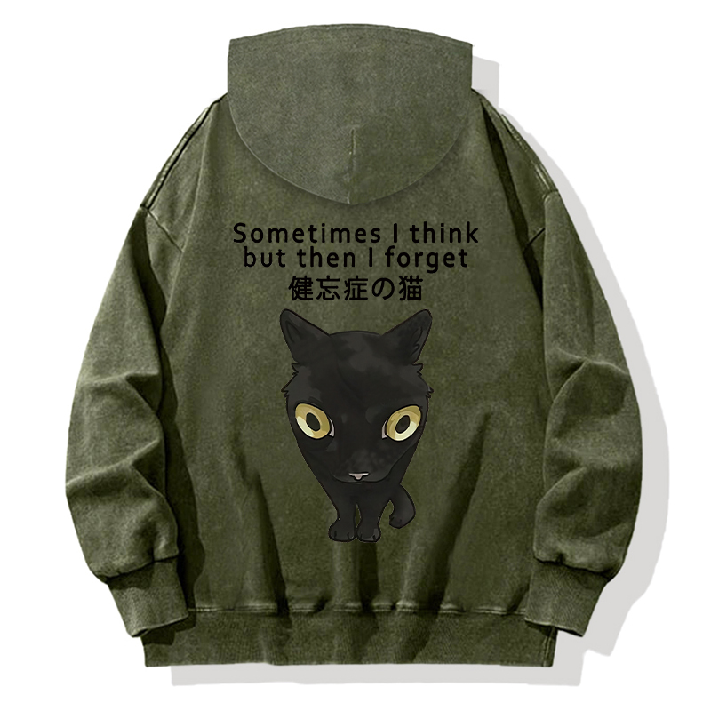Amnesiac Cat Back Washed Hoodie