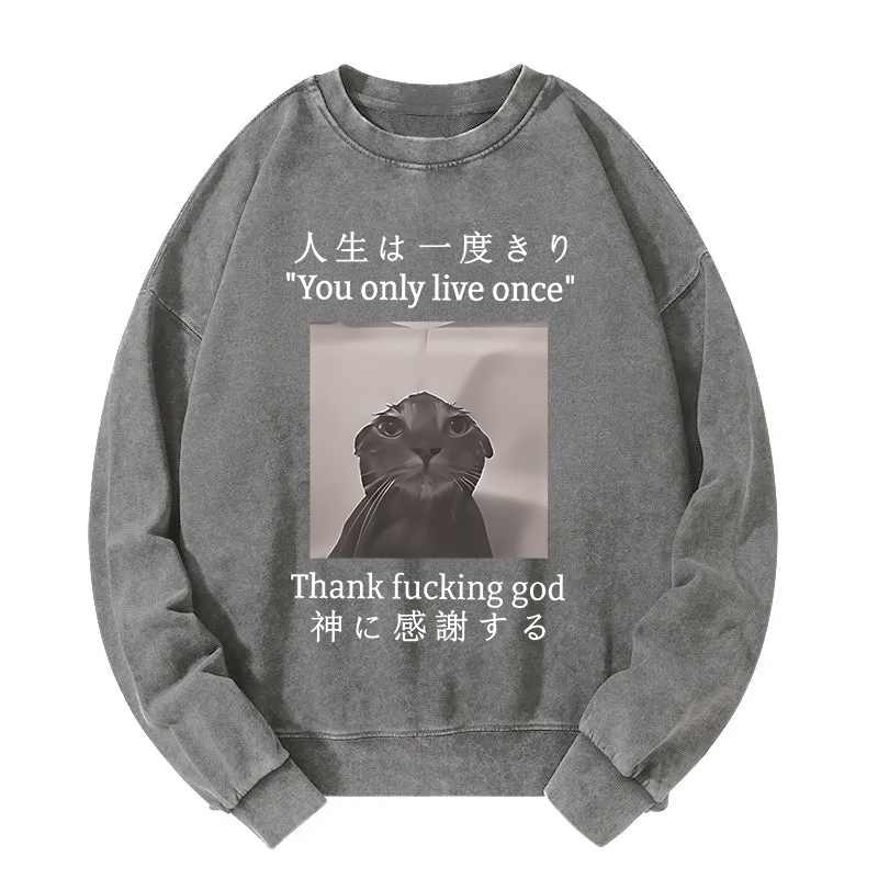 Funny Melancholy Cat Washed Sweatshirt