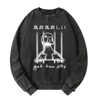 Got Too Silly Washed Sweatshirt