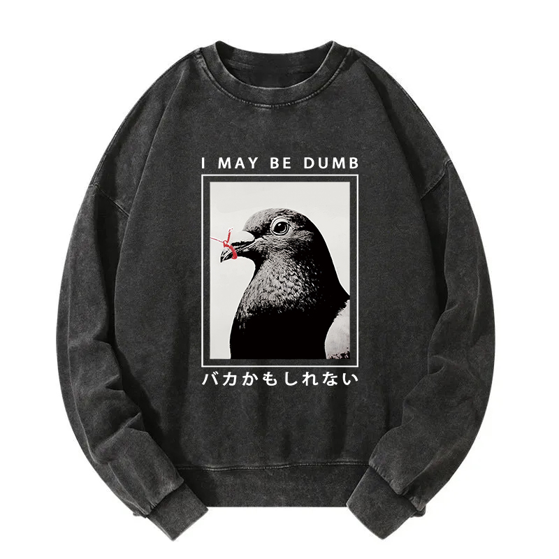 I May Be Dumb Funny Washed Sweatshirt
