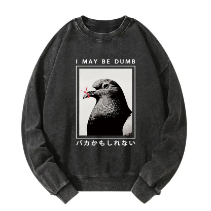 I May Be Dumb Funny Washed Sweatshirt