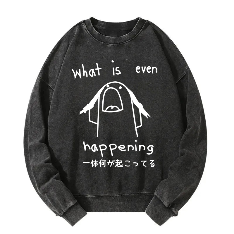 What Is Even Happening Washed Sweatshirt