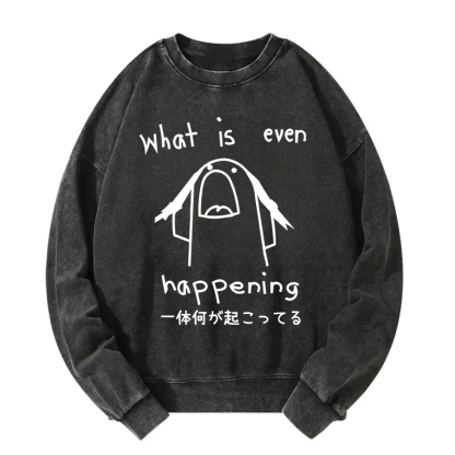 What Is Even Happening Washed Sweatshirt