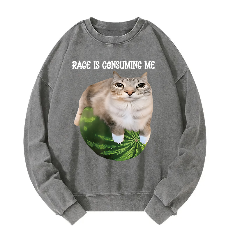 Rage Is Consuming Me Cat Meme Washed Sweatshirt