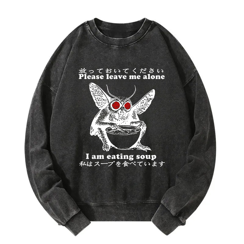 Don't Bother The Mothman Washed Sweatshirt