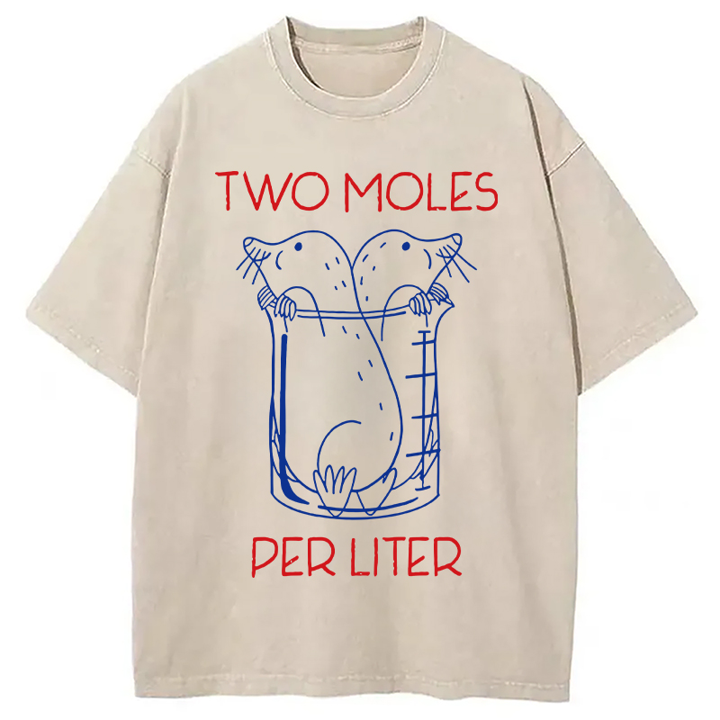 Two Moles Per Liter Washed T-Shirt