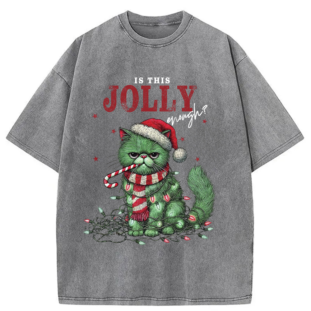 Christmas Gift Washed T-Shirt