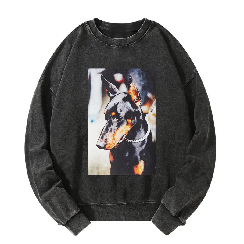 Doberman Pinscher Washed Sweatshirt