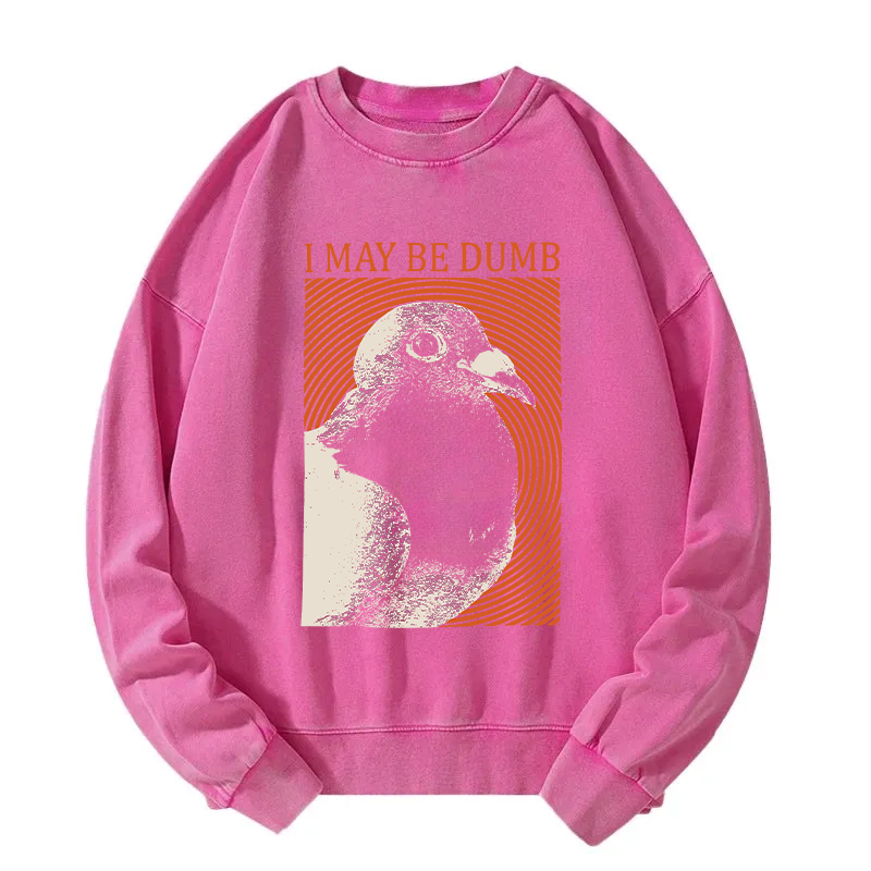 I May Be Dumb Washed Sweatshirt