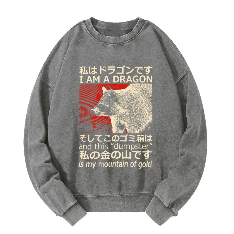 I'm A Dragon and this "Dumpster" is My Mountain of Gold Washed Sweatshirt