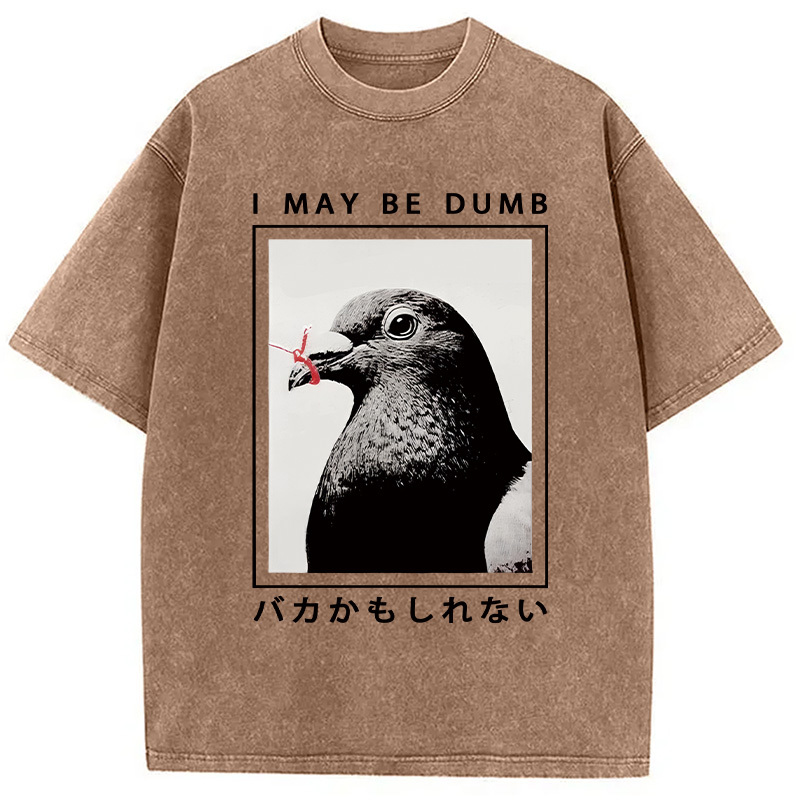 I May Be Dumb Funny Washed T-Shirt