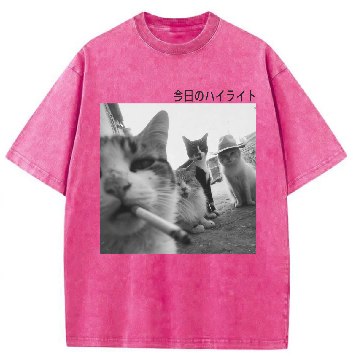 Tokyoviva Wonderful Moments Cats Washed T-shirt