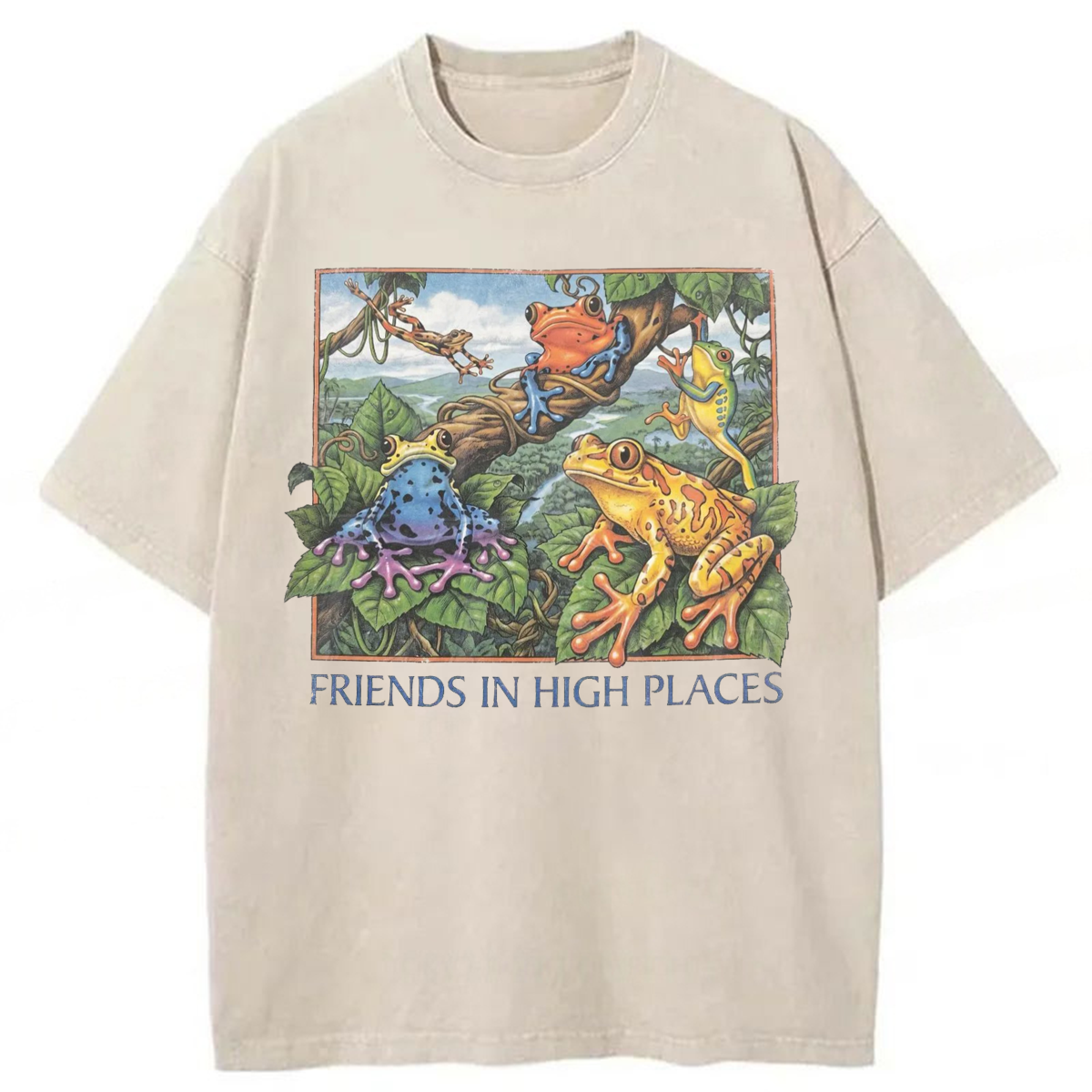 Tokyoviva Friends In High Places Frog Washed T-shirt