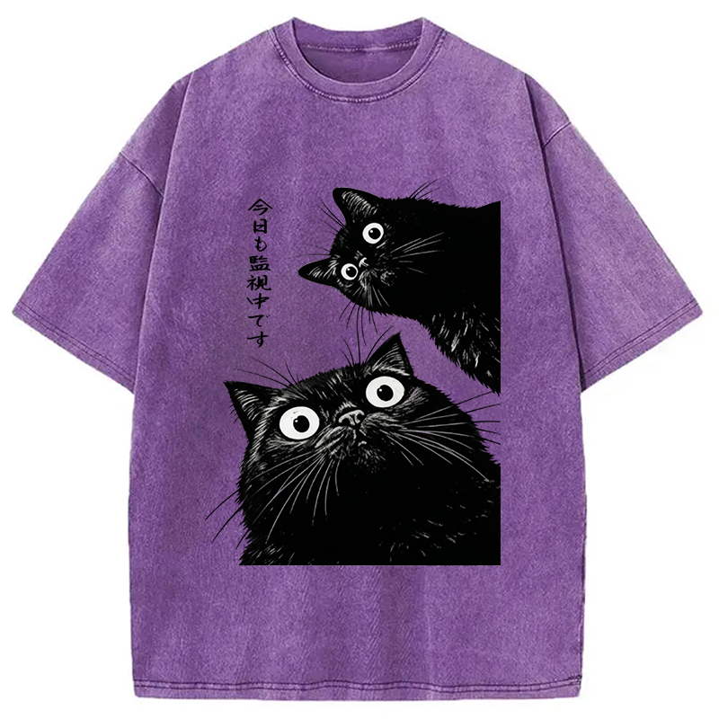 The Cat Is Watching Today Washed T-Shirt