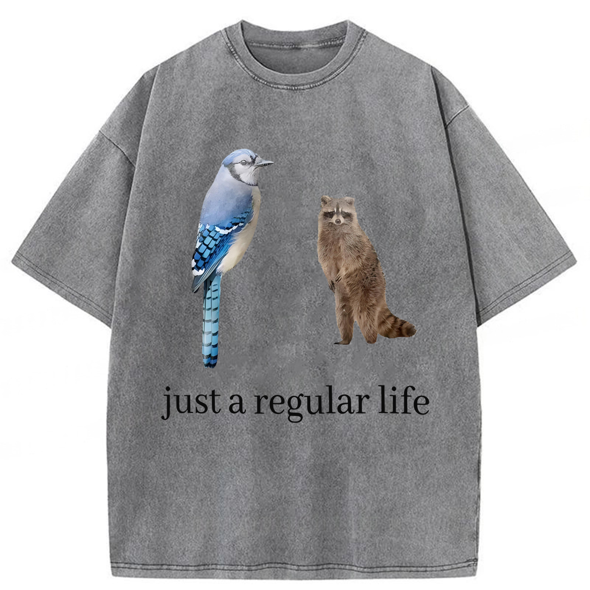 Tokyoviva Just A Regular Life Washed T-shirt