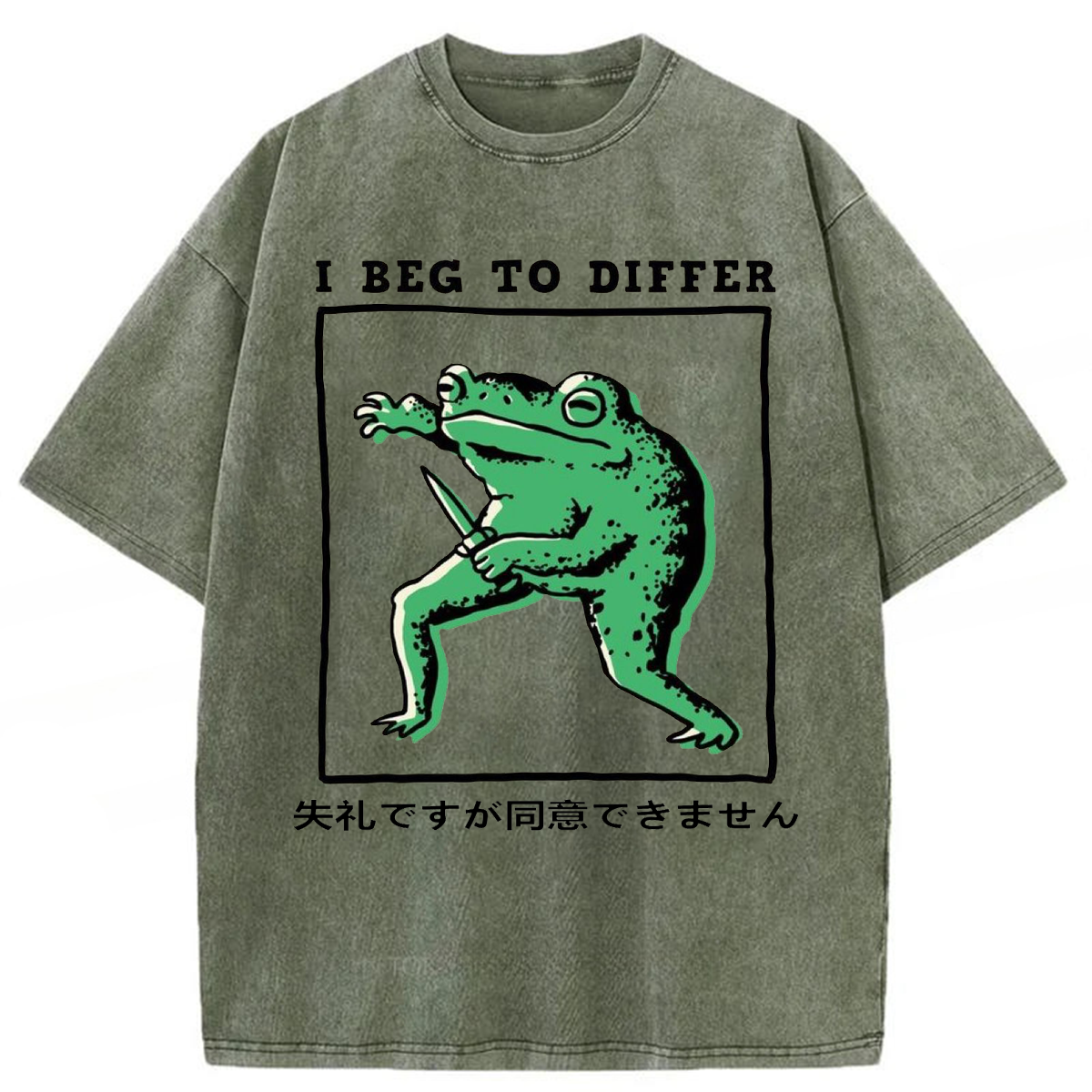 Tokyoviva Funny Frog I Beg To Differ Washed T-shirt