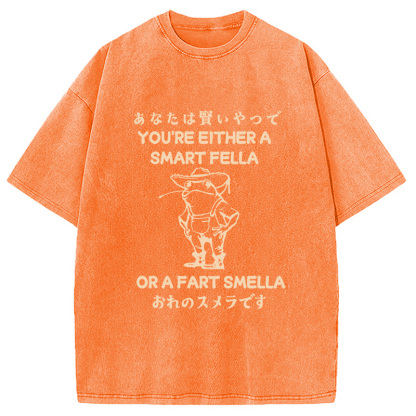 Are You A Smart Fella Or Fart Smella Washed T-Shirt