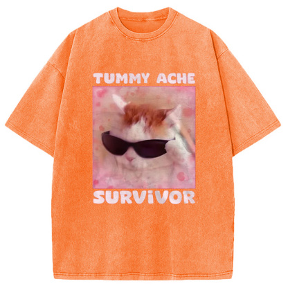 Tummy Ache Survivor Funny Cat Meme Washed T-Shirt