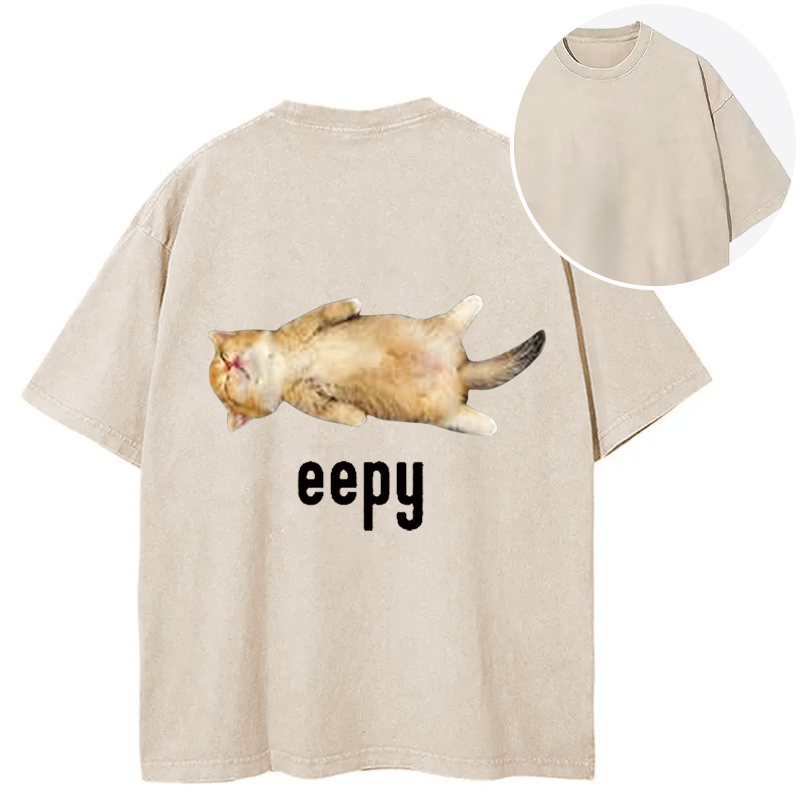 Silly Sleepy Cat Meme Back Washed T-Shirt