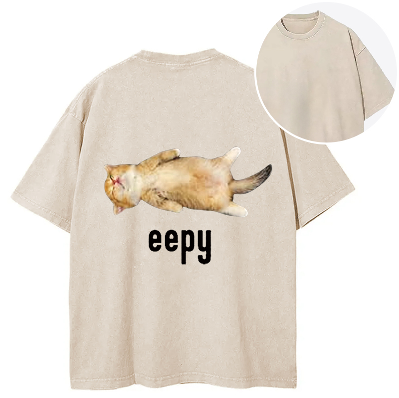 Silly Sleepy Cat Meme Back Washed T-Shirt