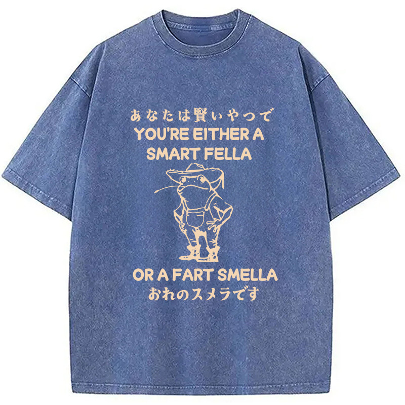 Are You A Smart Fella Or Fart Smella Washed T-Shirt
