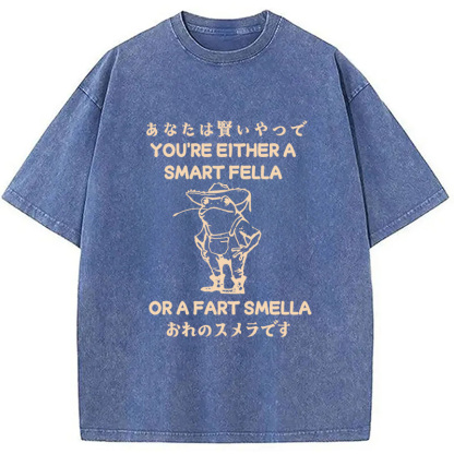 Are You A Smart Fella Or Fart Smella Washed T-Shirt