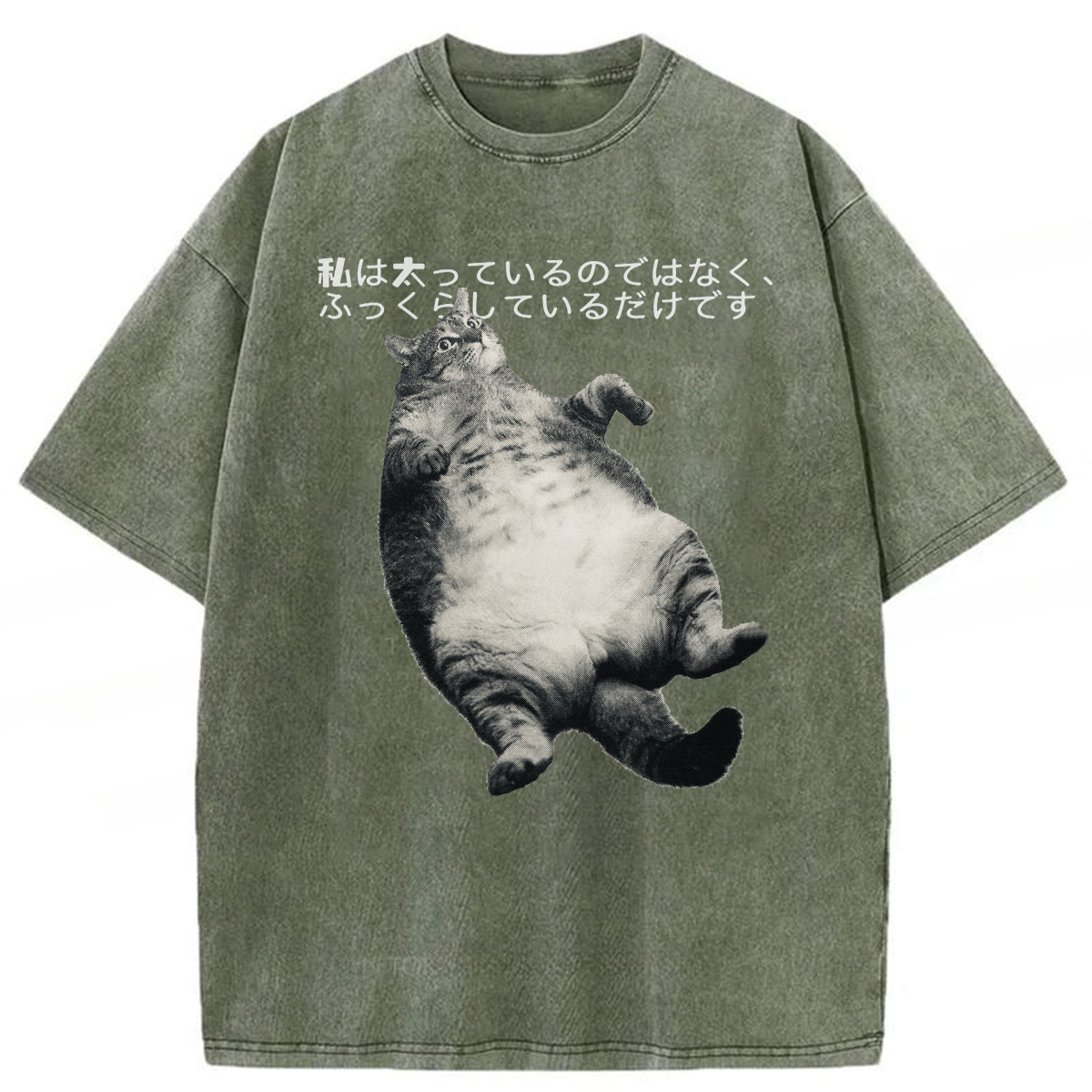 Tokyoviva I'm Not Fat I'm Fluffy Washed T-shirt